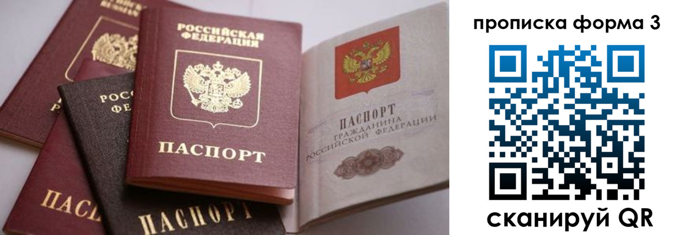 прописка для школы в Псковской области